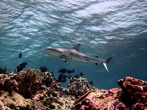 Caribe Extremo-圣安德烈斯必去景点