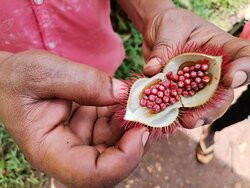 Zanzibar Reise Taxi-桑给巴尔岛必去景点