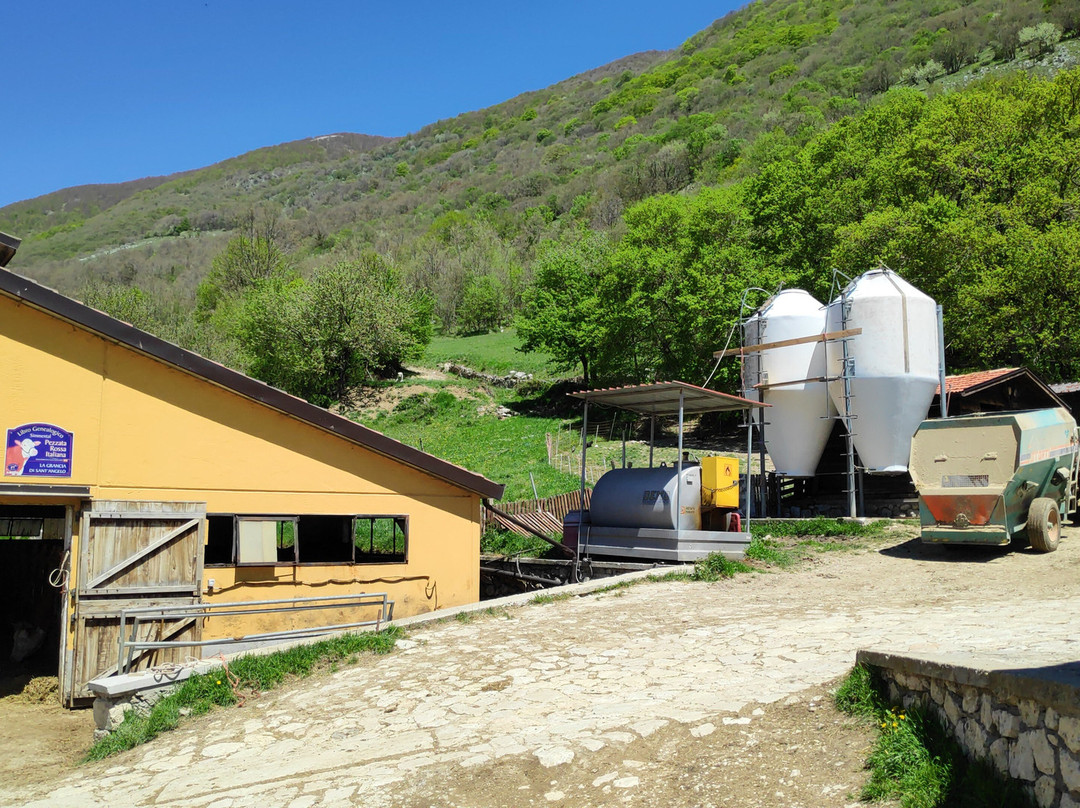 Azienda Agricola La Grancia景点图片