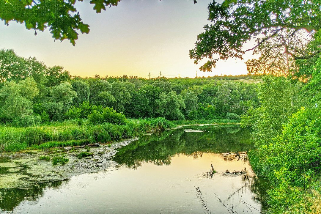 Severskiy Donets River Trail Oaks景点图片