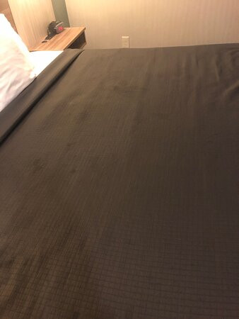 Aartpark Hotel Inn at Lewiston主图