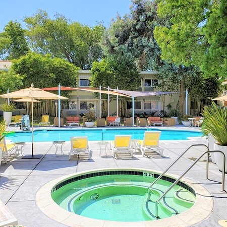 杰德威尔野棕榈酒店主图