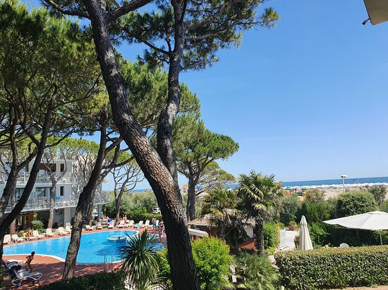 Park Hotel Pineta - Family Relax Resort主图
