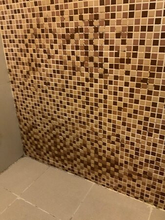 楚雪儿绿色公寓主图