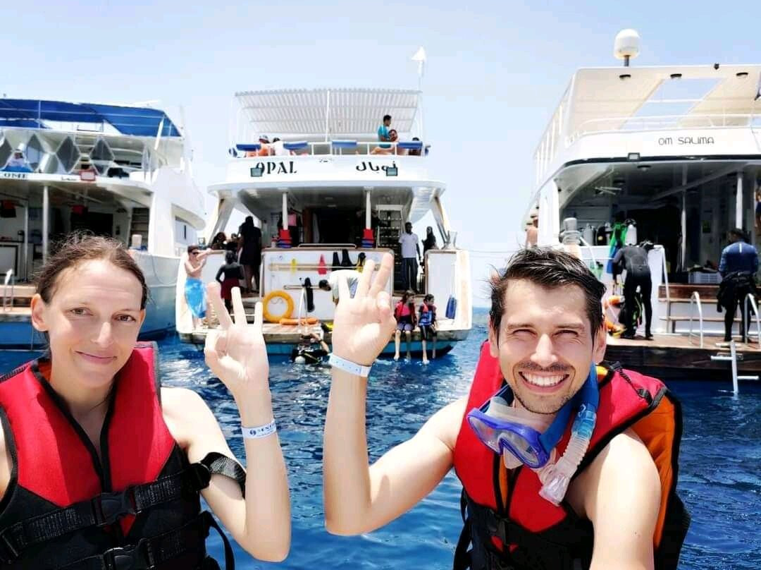 Dolphin House - Shaab Samadai-马萨阿拉姆必去景点