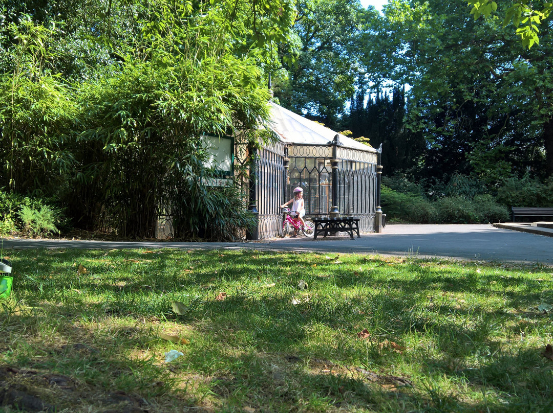 Town Gardens