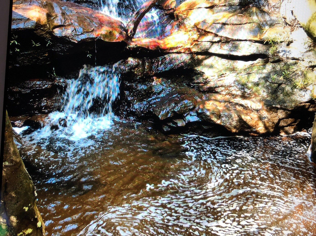 Edith Falls Woodford Nsw