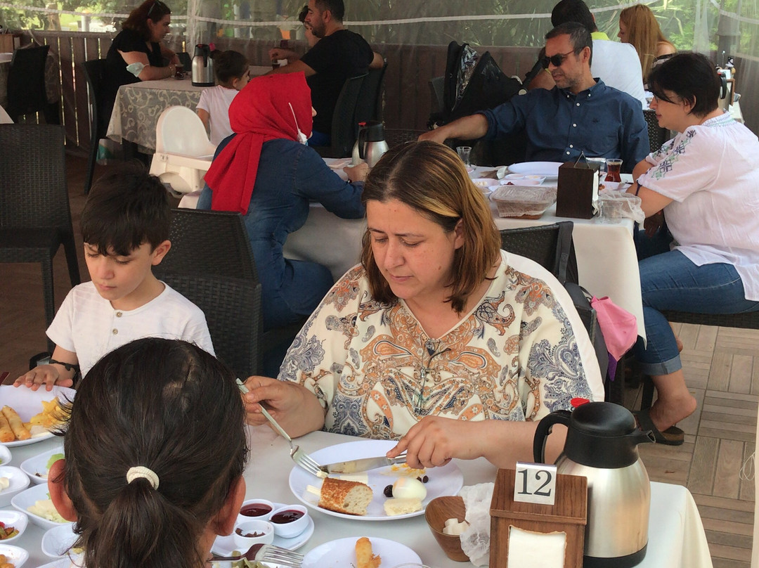 Gebze Atlı Spor Klubu景点图片