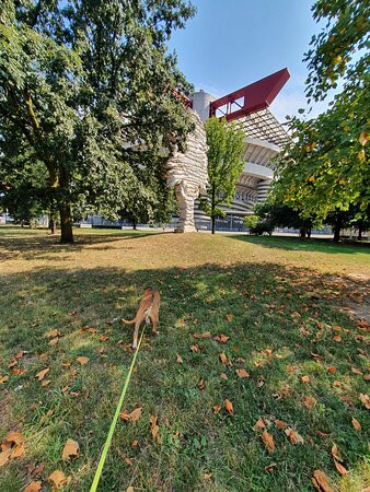 Hotel Milan San Siro主图