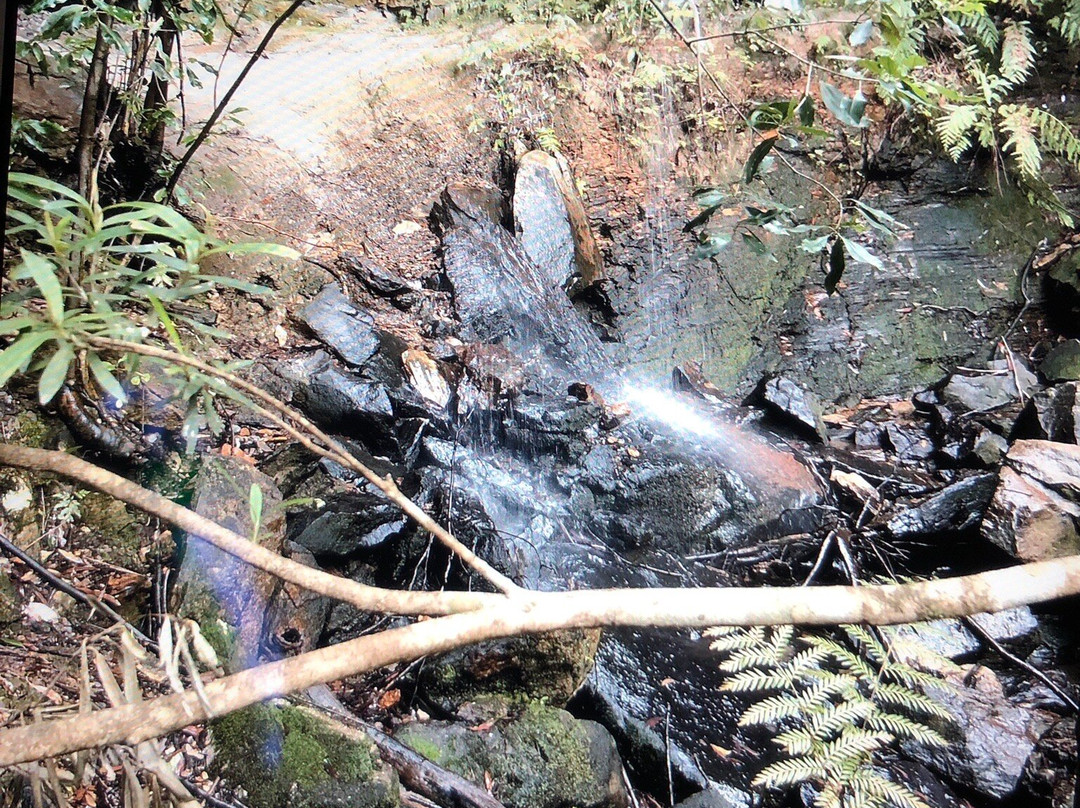 Hazel Falls Woodford