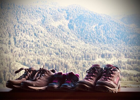 Agriturismo Il Tempo Delle Mele主图