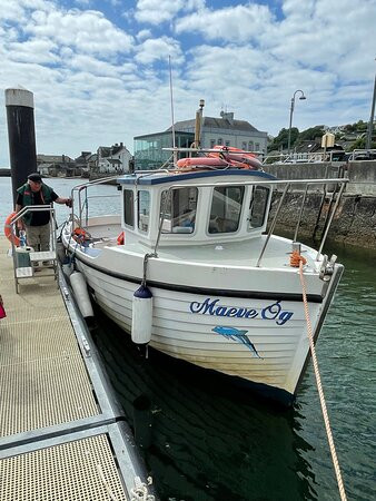 Blackwater Day Cruise-Youghal必去景点