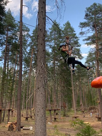 Seilpark Engadin-Sent必去景点