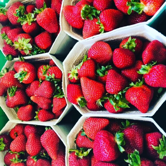 Moutere Strawberries景点图片