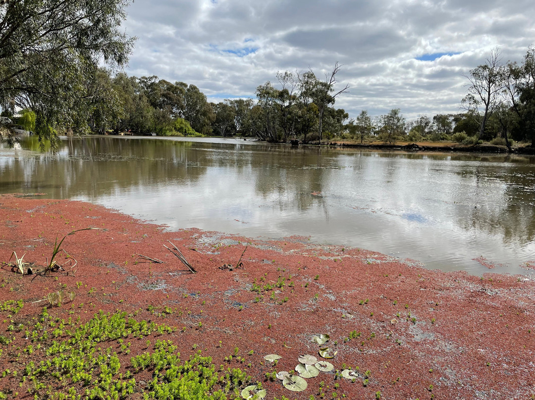 Apex Park Playground