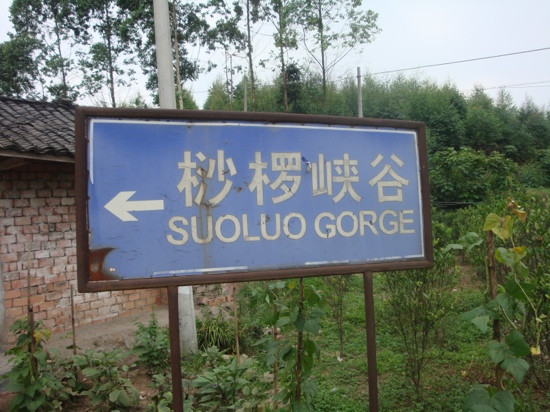 桫椤峡谷-乐山市必去景点