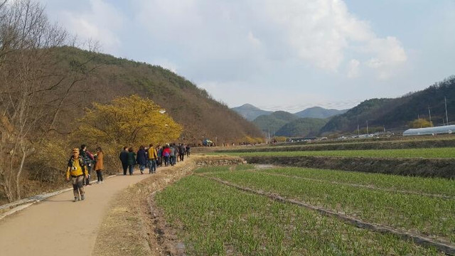 义城郡旅游攻略图片