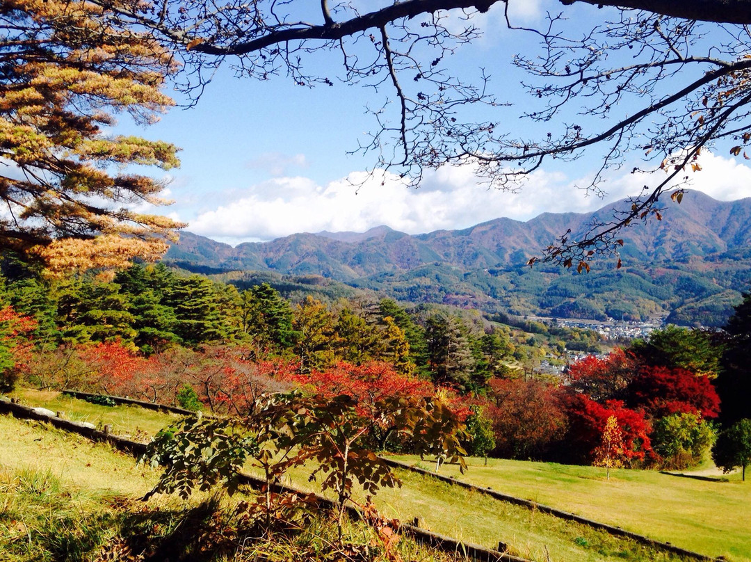 Matsumoto Alps Park景点图片