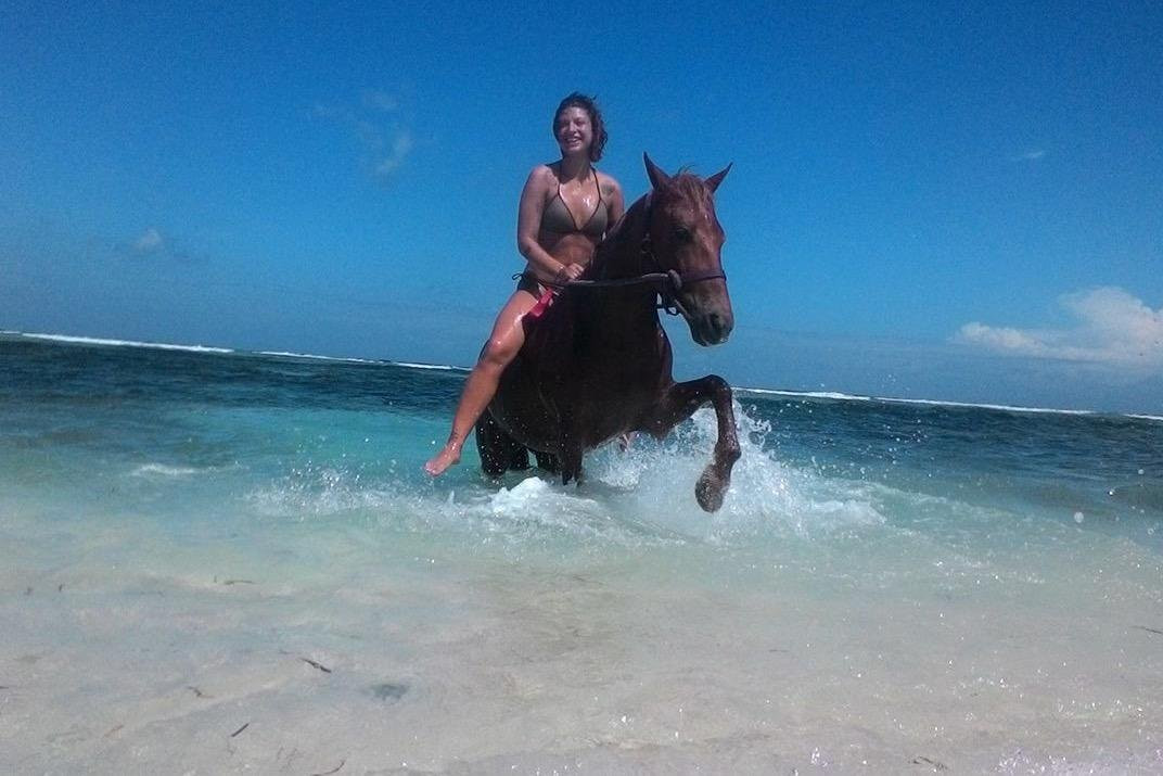 Stud Horse Riding and Rescue-吉利特拉万安必去景点