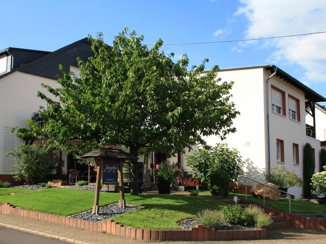 Kinheim酒店住宿-Weingut Markus Junglen