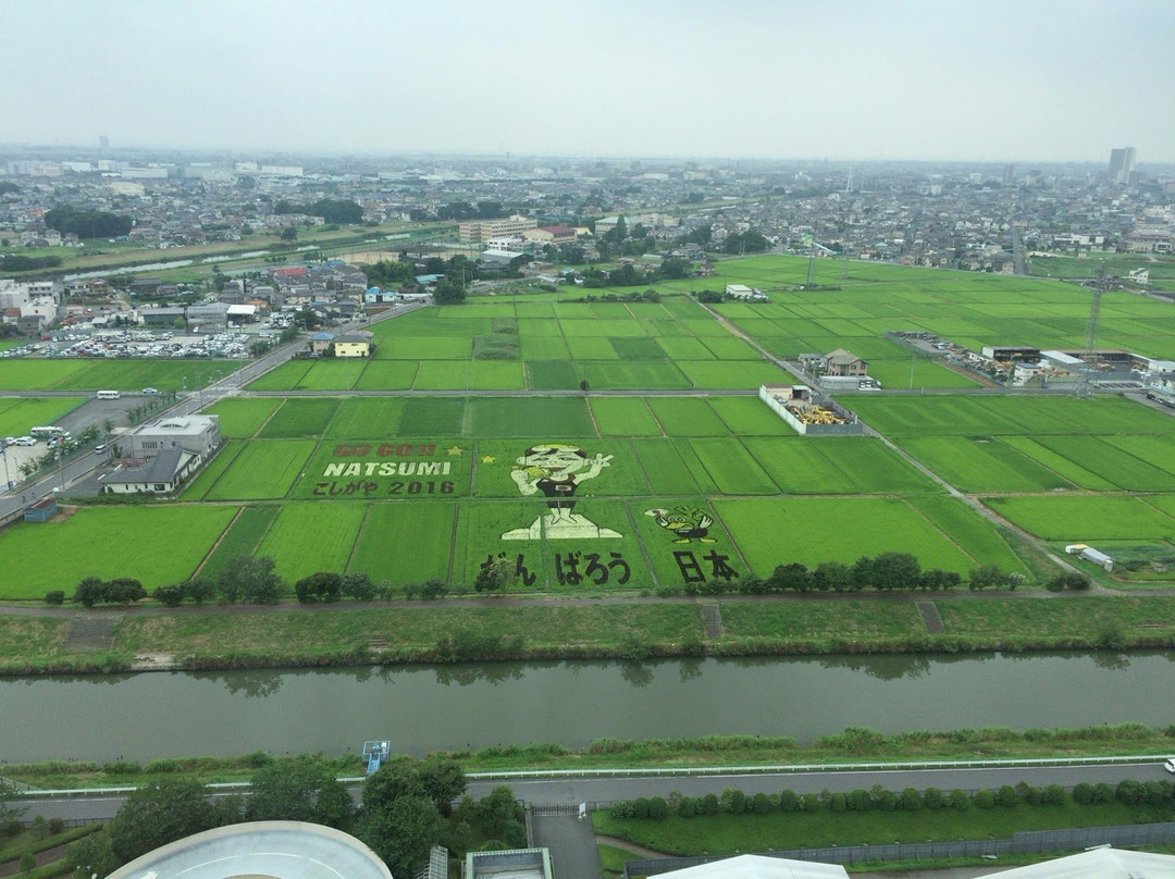 Higashi Saitama Resources and Environment Association Observatory-越谷市必去景点
