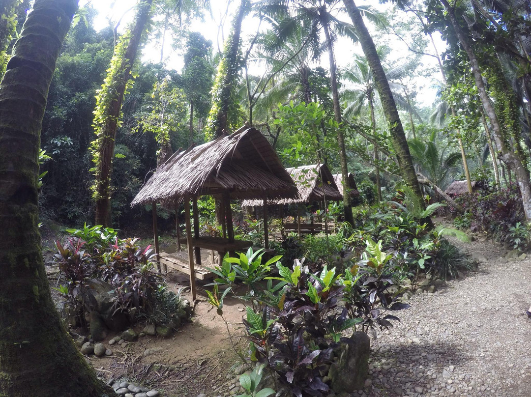 Magkawas Falls-Lanuza必去景点