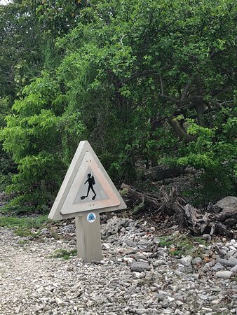 Hakuna Matata Bonaire - Beach & Diving主图