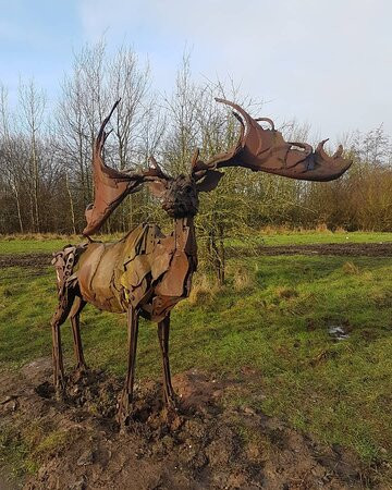 Snibston Colliery Country Park景点图片