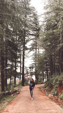 OYO 60523 The Nirvana主图