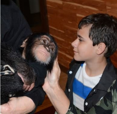 T.I.G.E.R.S. Preservation Station-美特尔海滩必去景点