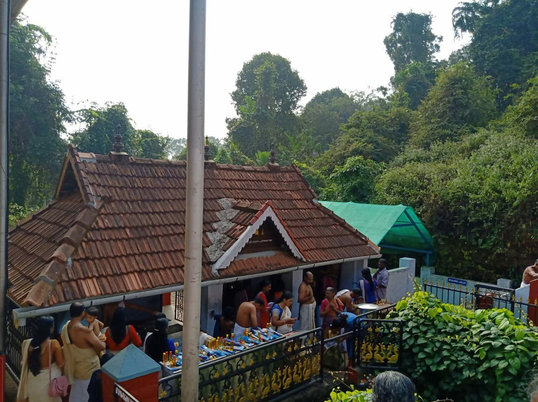 Panachikkadu Dakshina Mookambika Saraswathi Temple景点图片
