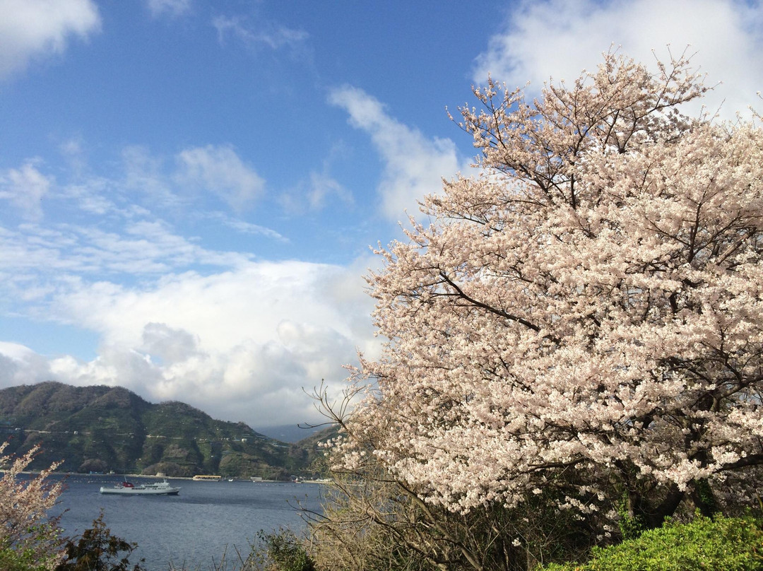 八幡滨市旅游景点-Suwazaki Nature Resting Grove