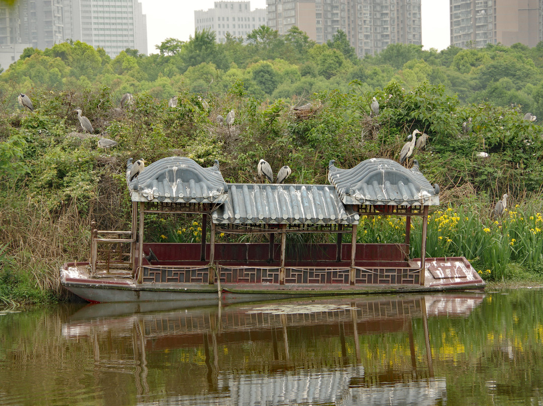 观山湖公园景点图片