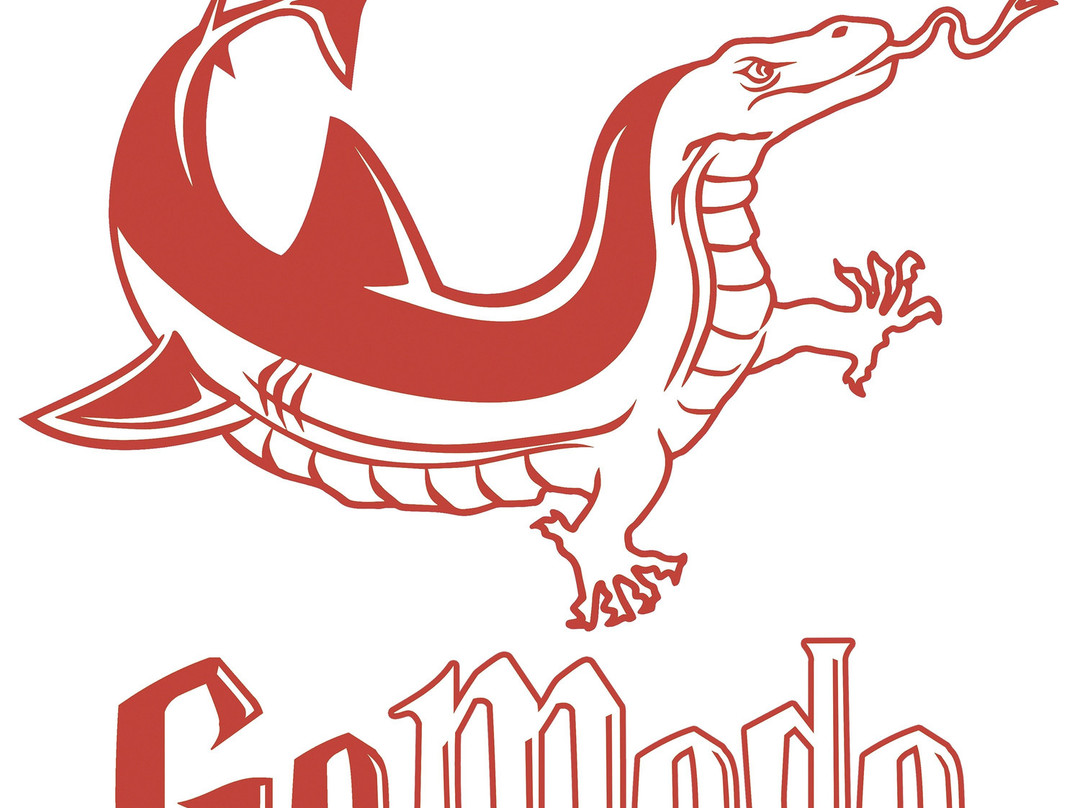 Gomodo Scuba景点图片