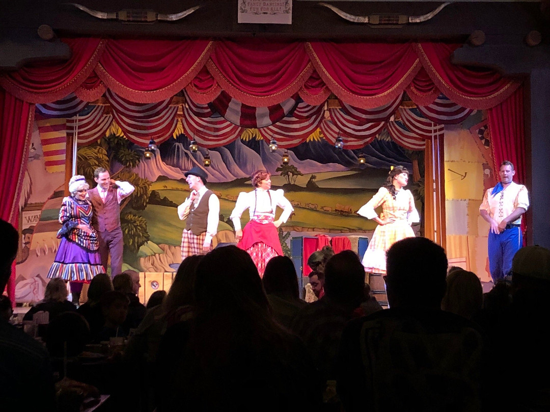 Hoop-Dee-Doo Musical Revue-奥兰多必去景点