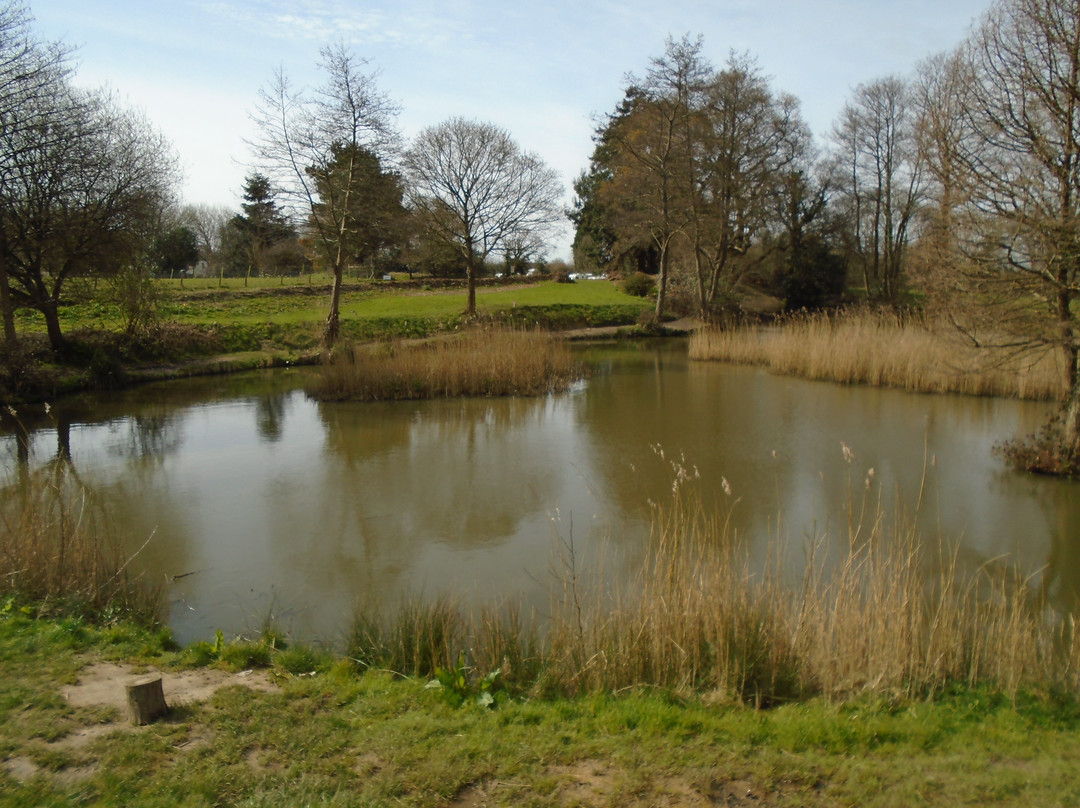 Horam Manor Farm景点图片