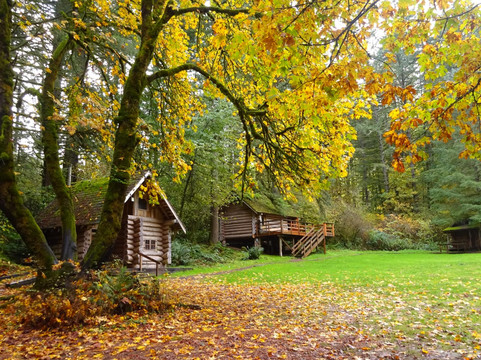 Magness Memorial Tree Farm-Sherwood必去景点