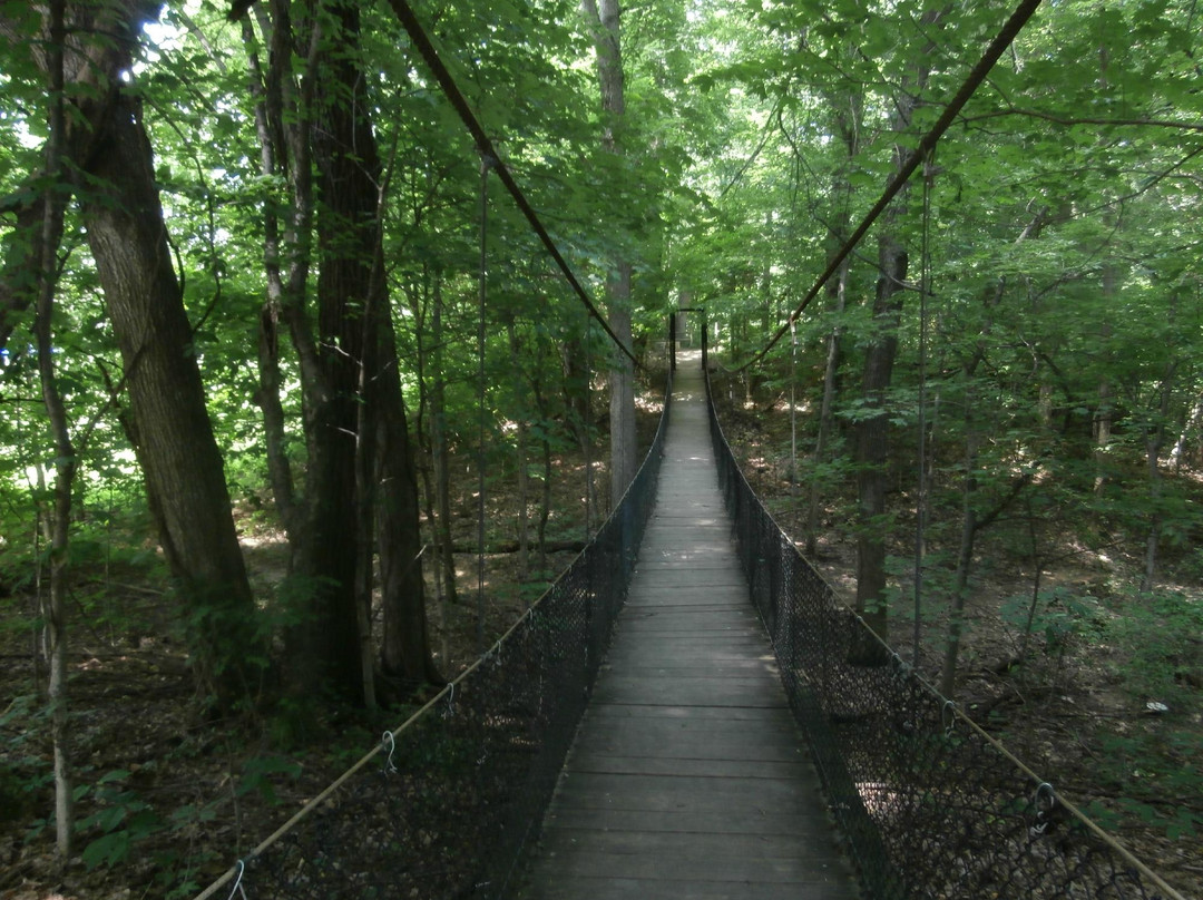 Panther Creek Park景点图片