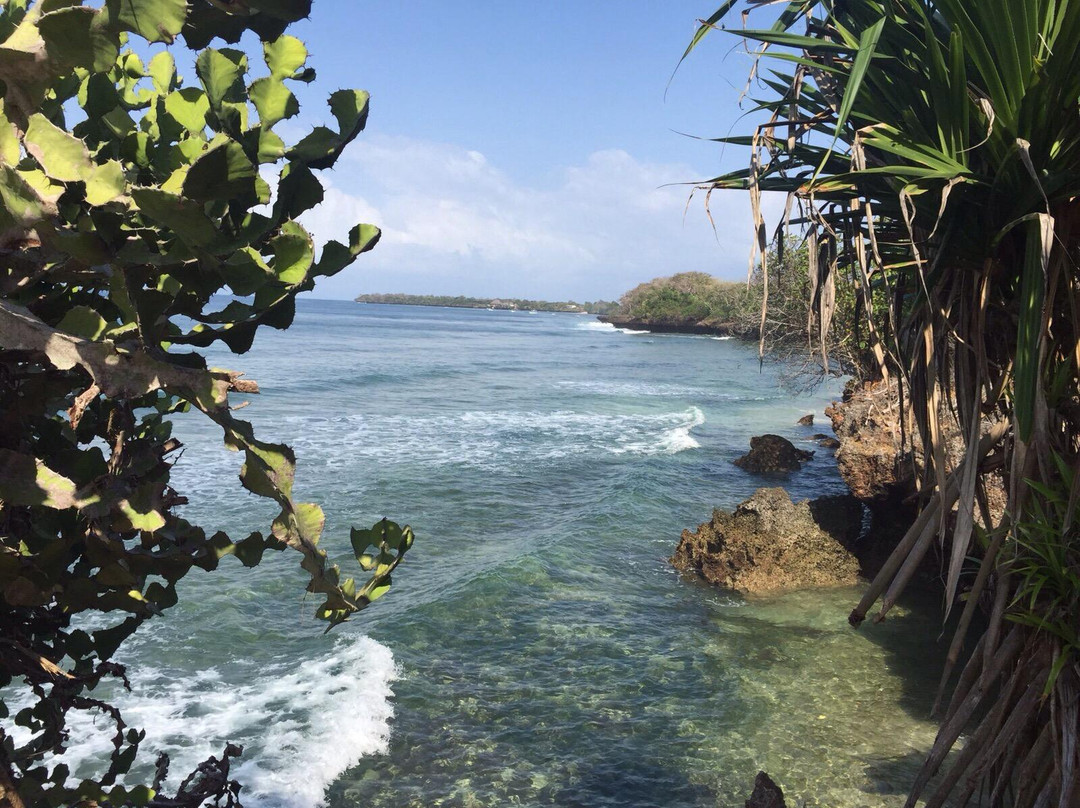 马赛马拉国家野生动物保护区旅游攻略图片