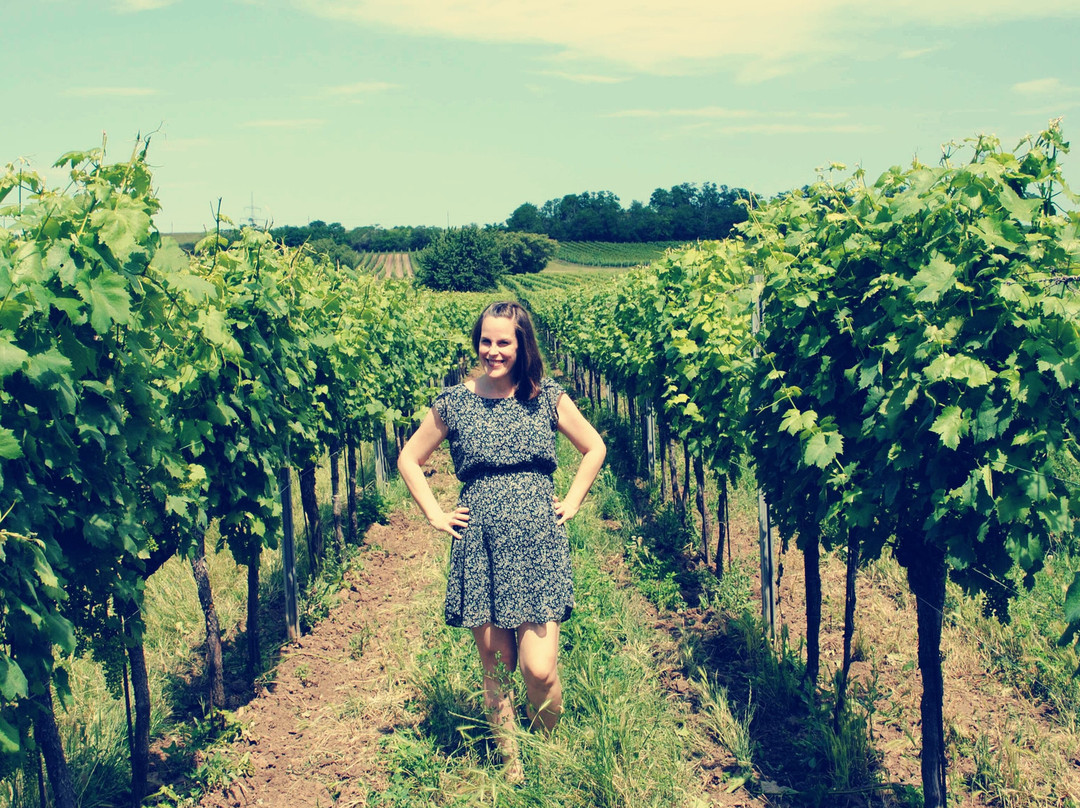 Weiden Am See旅游攻略图片