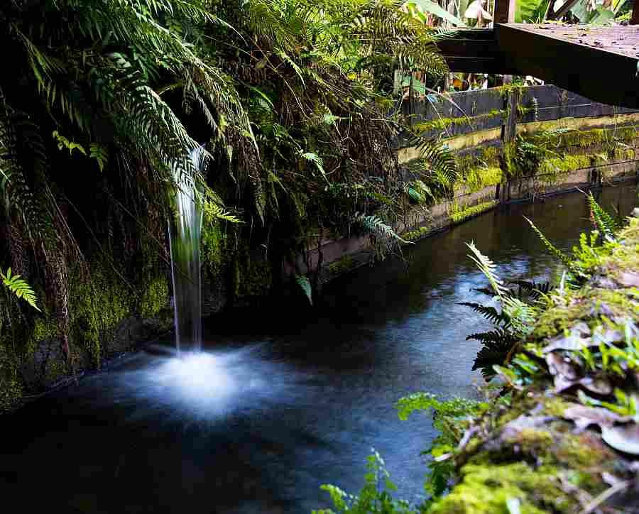Flumin’ Kohala-哈威必去景点