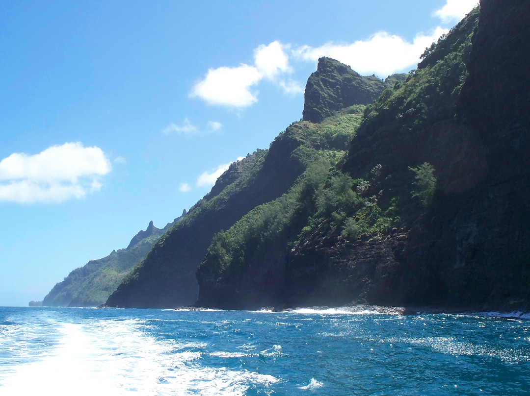 Liko Kauai Cruises-威美亚必去景点