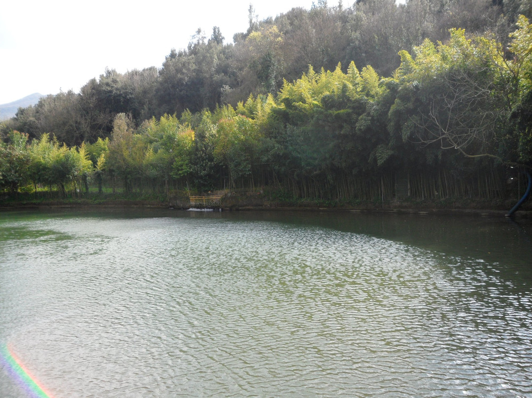 Lago Verde景点图片