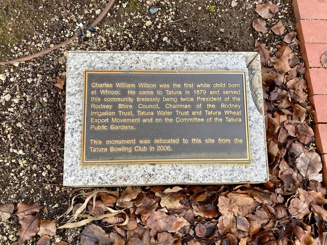 Charles William Wilson Monument