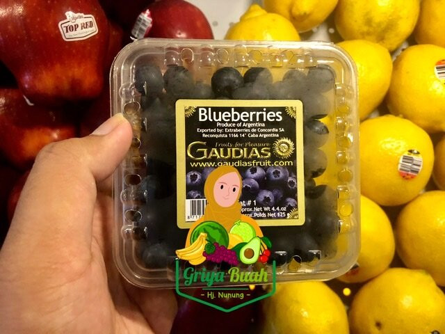 Griya Buah Hj Nunung