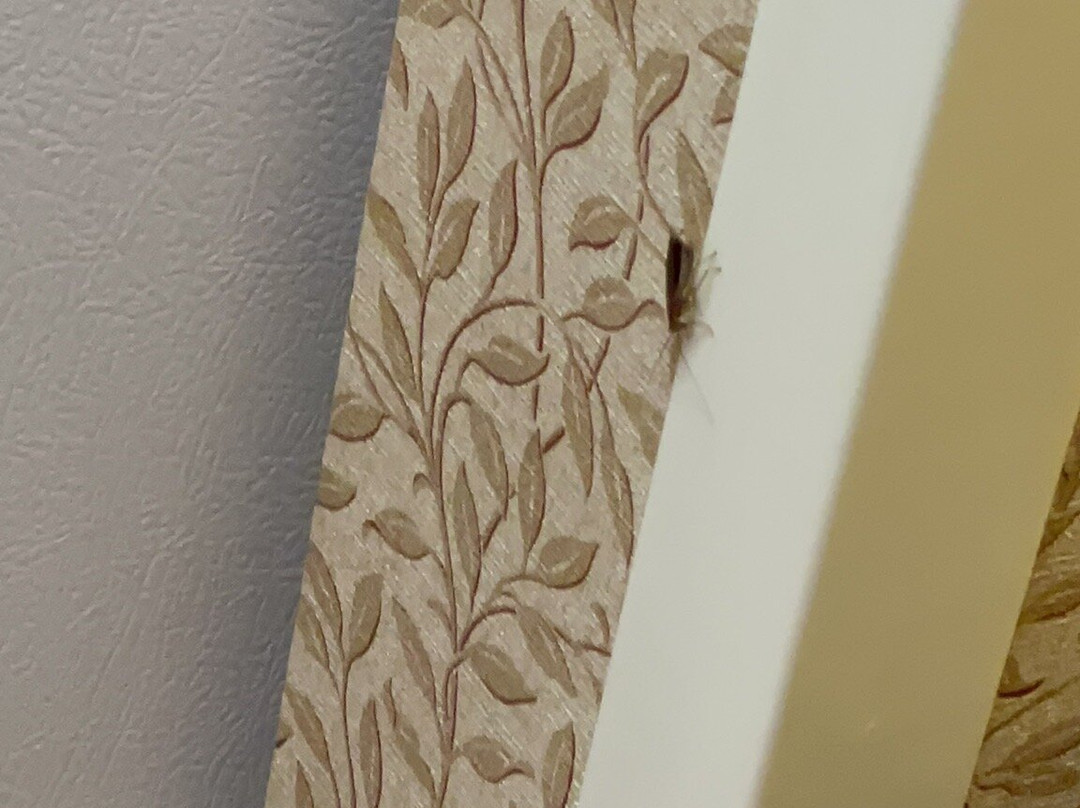 Homewood Suites by Hilton Richmond-Chester主图