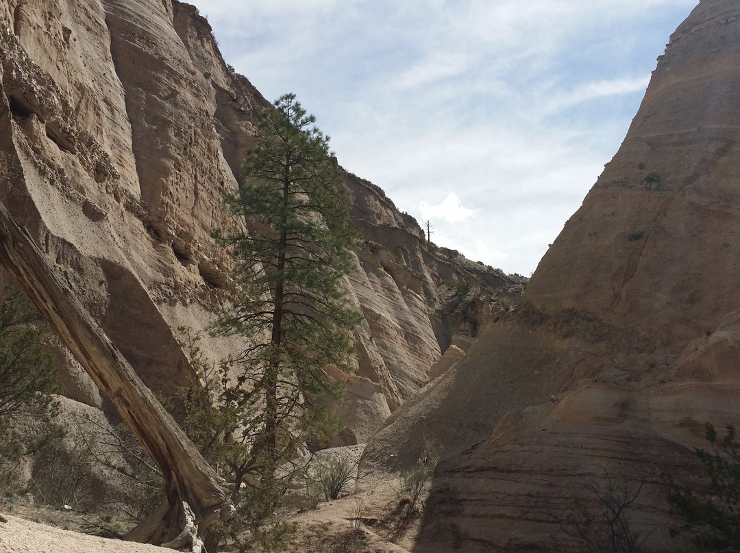 Cave Loop Trail景点图片