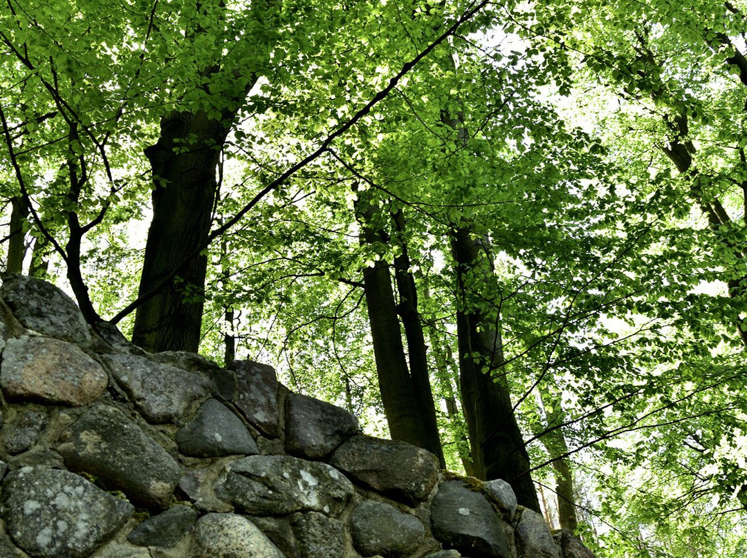 Silberquelle Im Gränert