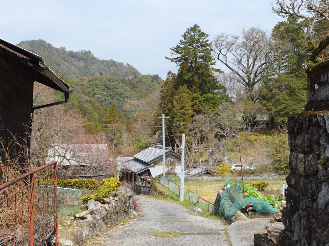 Utegenka no Yu Kiura Meisuikan-佐伯市必去景点