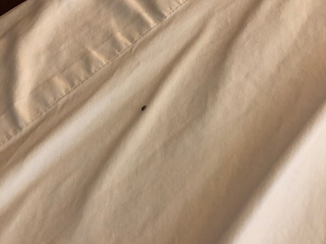 Hilton Garden Inn Independence主图